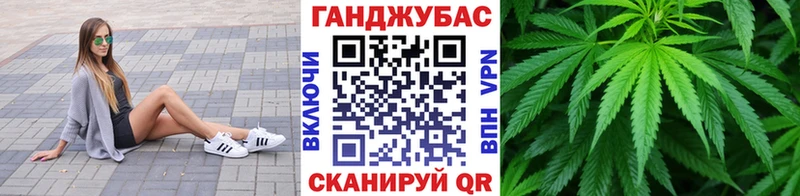 Бошки Шишки планчик  Купить где  Плёс 